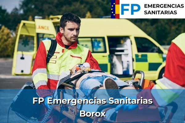 FP Emergencias Sanitarias en Toledo 4 FP Emergencias Sanitarias en Borox